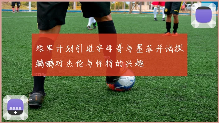 绿军计划引进字母哥与墨菲并试探鹈鹕对杰伦与怀特的兴趣
